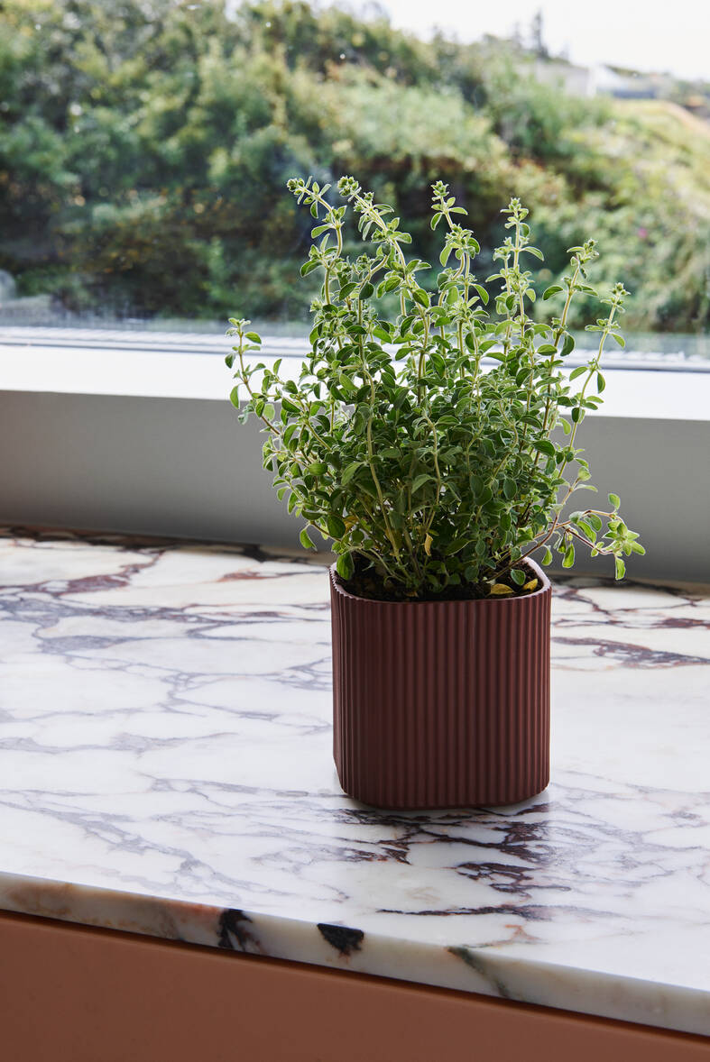 cobe facade collection herbs cobe facade collection herbs